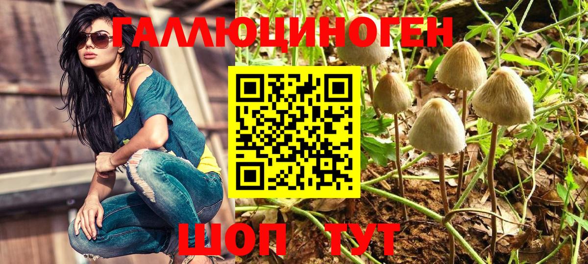 Новоалтайск  Псилоцибиновые грибы Psilocybine cubensis  где найти   Псилоцибиновые грибы ЛСД  Вход с VPN 