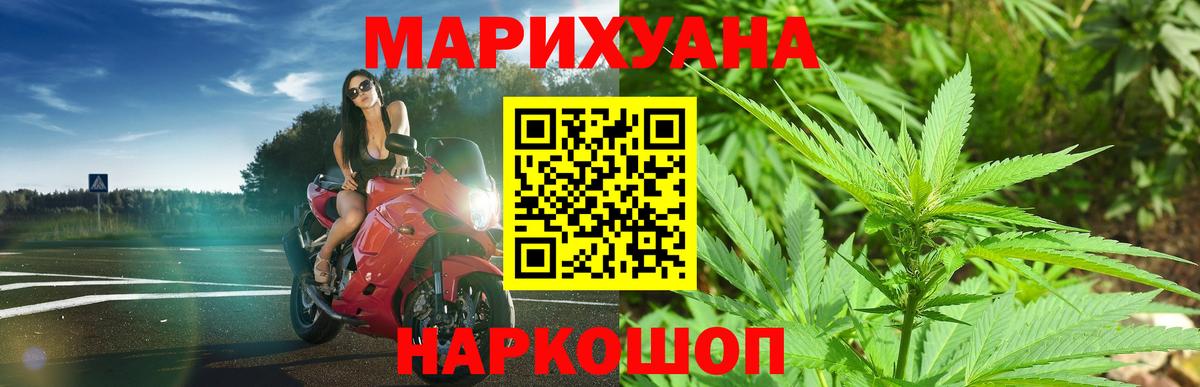 Конопля план Новоалтайск